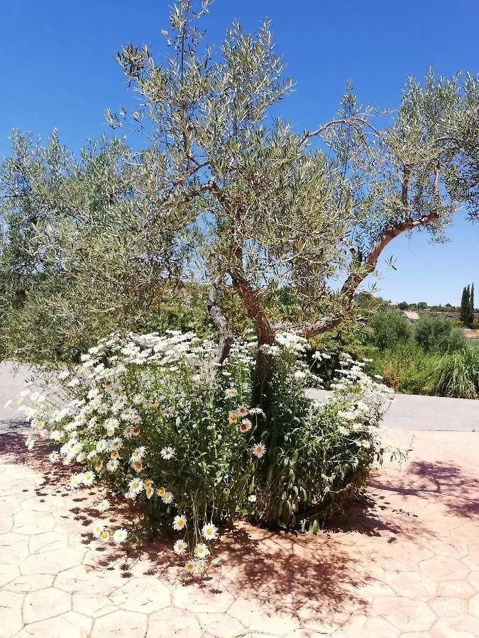 Casa Rural Los Arcos Guest House Ronda Country house
